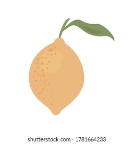 
Vector image of an lemon on a white background.