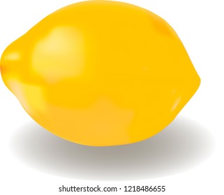 Vector image lemon realistic