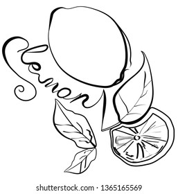 The vector image of a lemon and its segments with two leaves and an inscription on a white background