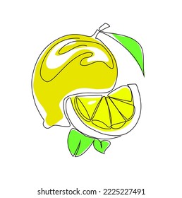 Vector image of the lemon whole fruit  and a slice isolated on the white background . One line art, single line art
