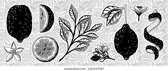 Vector image of lemons with flowers and leaves