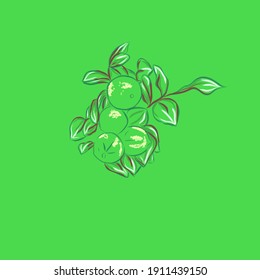 Vector image of lemons on a branch on a green background. Set of illustrations. Composition for frame, interior decor, booklet, brochure, blog, hand drawn style print