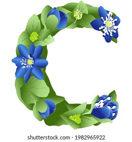 vector image of the letter C of the English alphabet made in the form of flowers and leaves of liverwort in bright blue and green colors