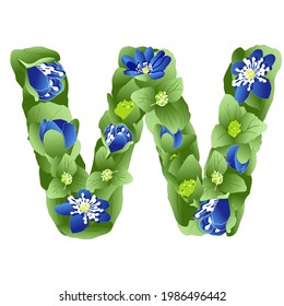 imagen vectorial de la letra W del alfabeto inglés hecha en forma de flores y hojas de hipérico en colores azul y verde vivos