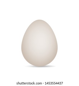 Vector image of a light bird egg, with shadow, on white background.