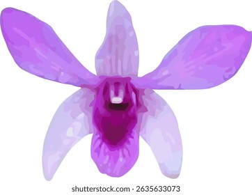 vector image of a light violet dendrobium orchid flower on a white background
