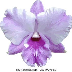 vector image of a light violet orchid flower on a white background
