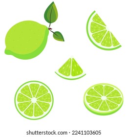 Vector image of lime. Juicy healthy citrus fruit. A design element for web applications, websites and social networks.