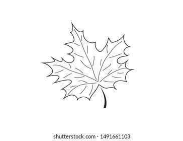 Vector image of a linearly drawn autumn leaves. Flat icon. Web version.