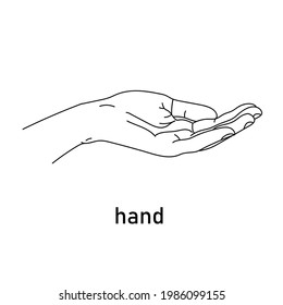 Vector image of a linearly drawn hand