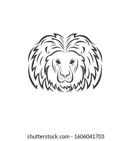 Vector image of an Lion black and white. design style. animal. art. symbol. logo. Illustrator. on white background.