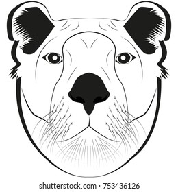 Vector image of lion head for retro logos, emblems, badges, labels template vintage design element. Isolated on white background