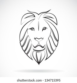 Vector image of an  lion , illustration - vector