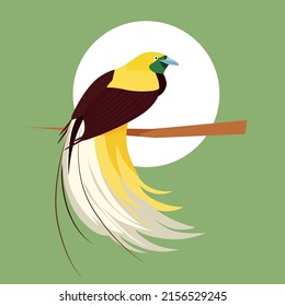 Vector image of an little bird of paradise.