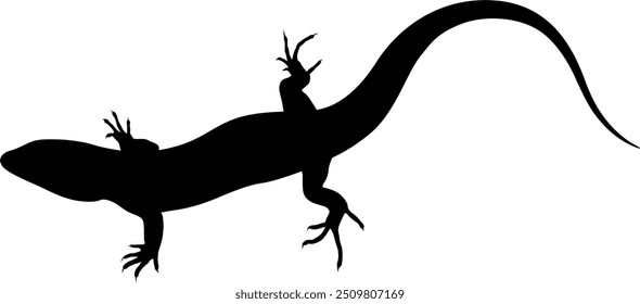 Vector image of a lizard
