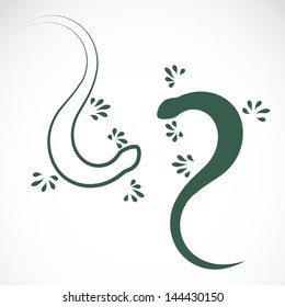 Vector image of an lizard on white background