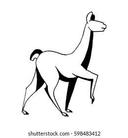 Vector image with llama's movement