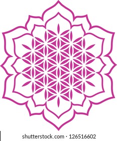 Vector image / Lotus of the heart - Flower of life / symbol harmony and balance