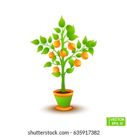 Vector image. Lovely citrus tree in a flower pot. Homemade tree with tangerines, isolated object