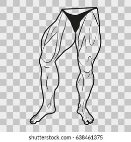 Vector image lower body man. The muscles of the legs on a transparent background