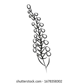 

Vector image of a lupine flower color  image, doodle picture, illustration for sites, posters about herbs and nature.