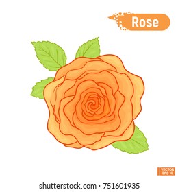 Vector image. A lush beige rose. A blossoming pink flower.