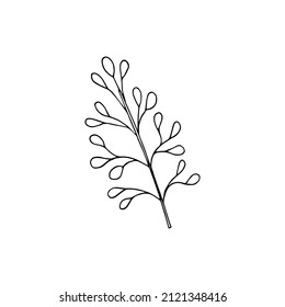 Vector image of a lush twig with small round leaves on a transparent background. Clip art hand drawn.