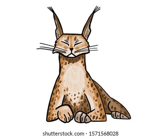vector image of lynx on white background for your business, logo, articles and blog