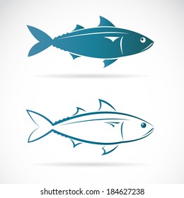 Vector image of an mackerel on white background