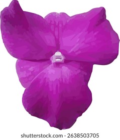 vector image of a magenta dendrobium orchid flower on a white background