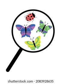 
vector image of a magnifying glass and a butterfly with a ladybug