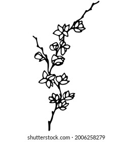 Vector image of a magnolia branch. A sketch. Hand-drawn. Design for fabric, print, wallpaper, tattoo, wedding.
