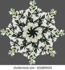 Vector image. Mandala of flowers, a wreath.Tuberose - branches. Medicinal, perfumery and cosmetic plants. Wallpaper. Use printed materials, signs, posters, postcards, packaging. 