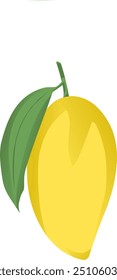 vector image of mango fruit