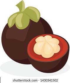 Vector image of mangosteen. Mangosteen on a white background.