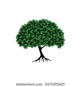 Vector image of a mangrove trees, a tropical coastal plants