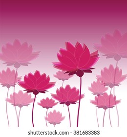 Vector image with many red lotus on white and purple background