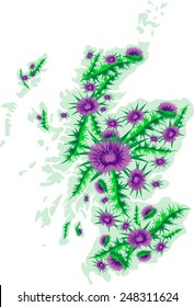 Vector image map of Scotland with thistle flowers