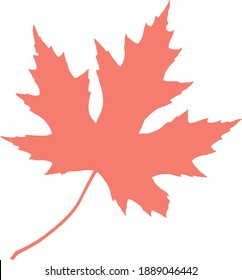 Vector image of a maple leaf