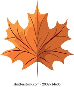 Vector image of a maple leaf. Can be used for posters for September 1, Knowledge Day.