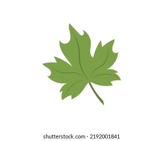 Vector image - maple leaf. Icon. Nature