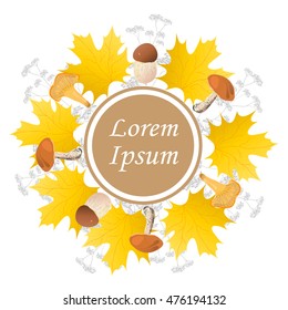 Vector image of a maple leaf, mushrooms and wildflowers on a white background.Can be used to design a movie website.