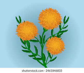 Vector Imagen de flores de caléndula con hojas