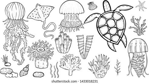 vector image of marine inhabitants. hand drawn jellyfish, ramp, turtle, seaweed, actinium, sea ​​sponge, coral, shell, pebbles