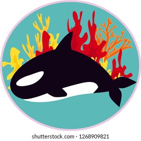 vector image of marine life