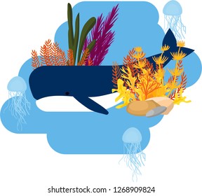 vector image of marine life