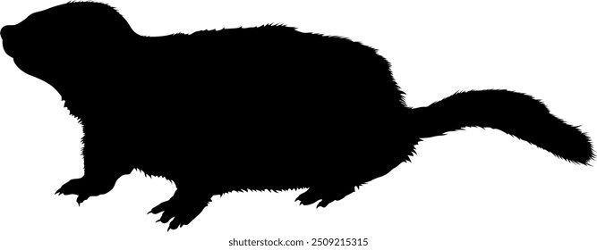 Vector image of a marmot