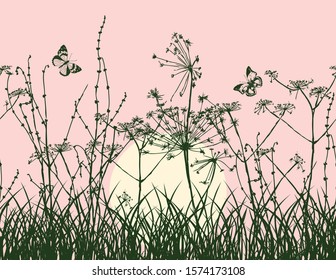 Vector image of meadow plants silhouettes on sunrise background
