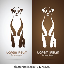Vector image of an meerkats design on white background and brown background, Logo, Symbol,Animals 