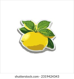 vector image of melon, yellow, green, white background.